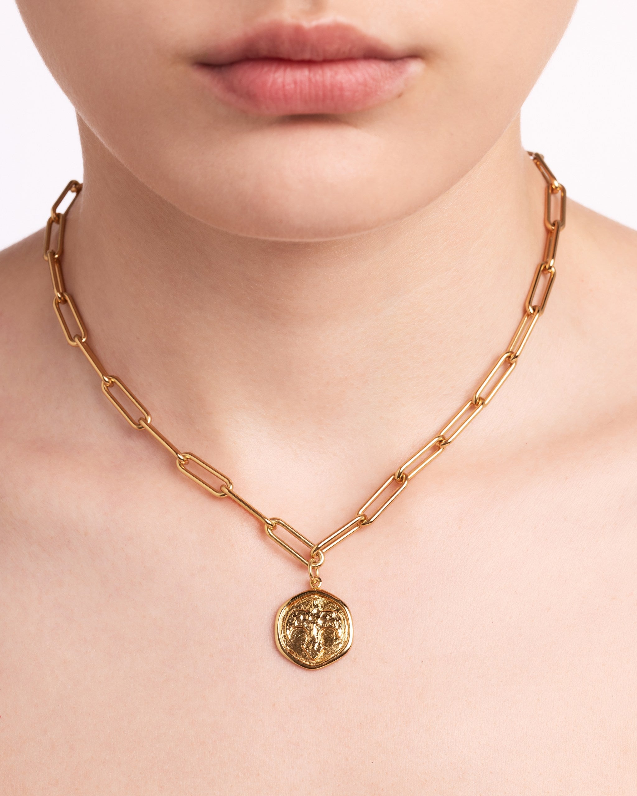 Grand Antique Bird Necklace | Yellow Gold